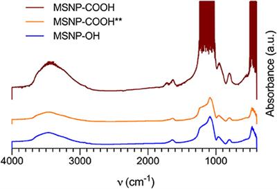 Proof of Concept Study: Mesoporous Silica Nanoparticles, From Synthesis to Active Specific Immunotherapy